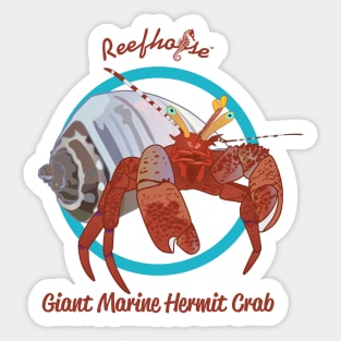 Giant Marine Hermit Crab Sticker